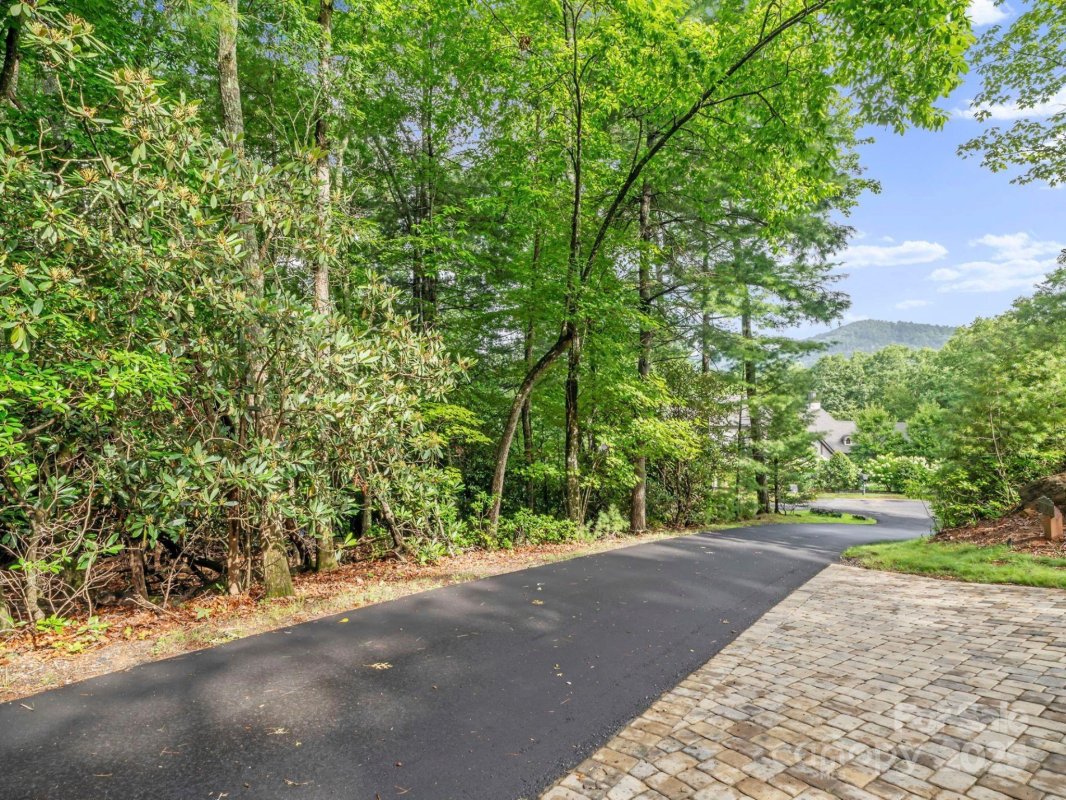 52 Dividing Ridge Trail