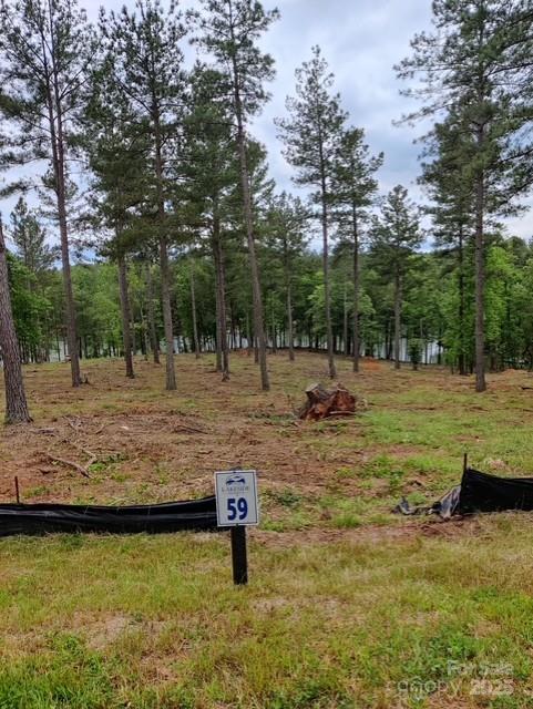 2120 Princeton Mountain None 59