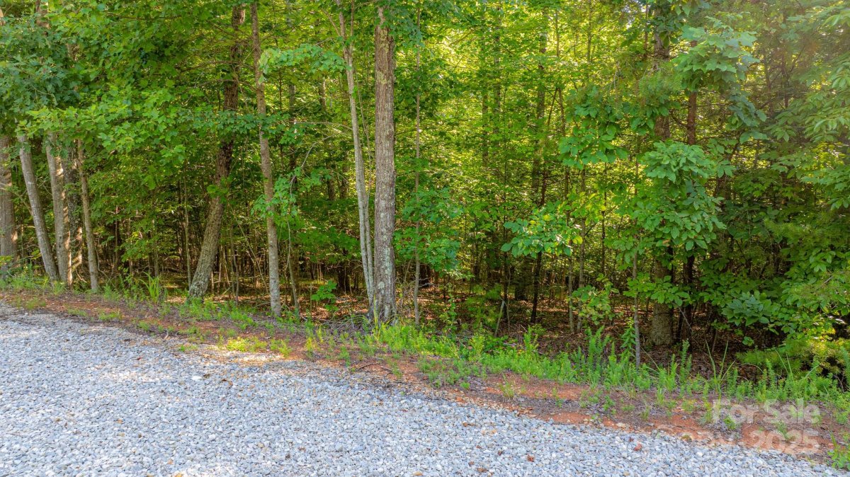 0 Dirksen Avenue 62
