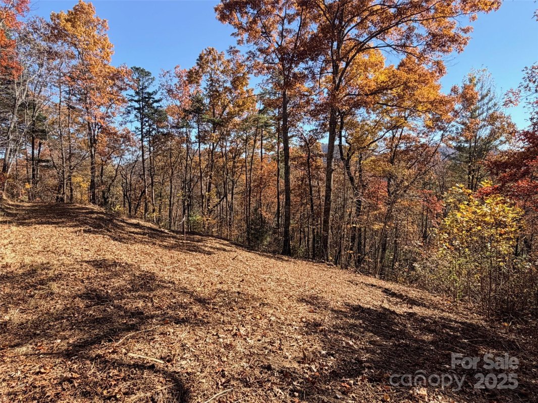 130 Brown Bear Ridge Trail