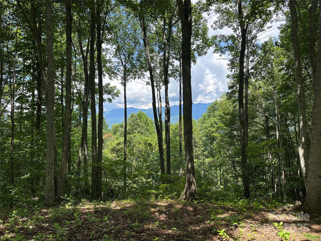 402 High Line Road