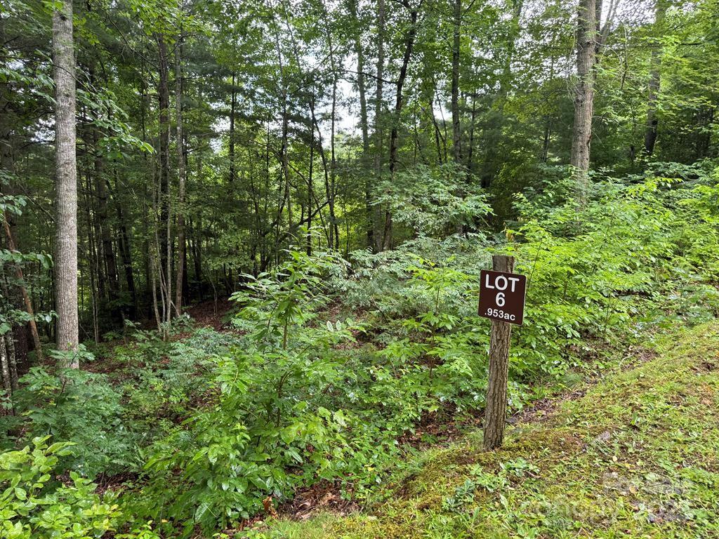 Lot 6 Garnet Road
