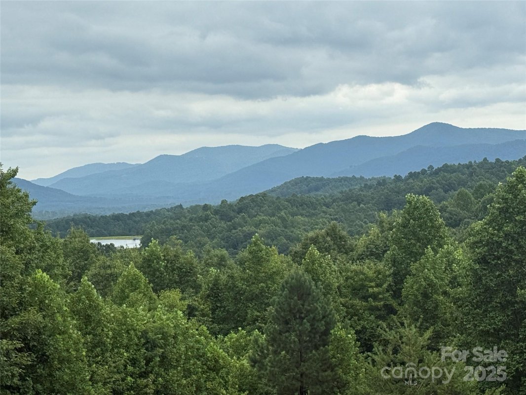 166 Coal Pit Mountain Drive 359