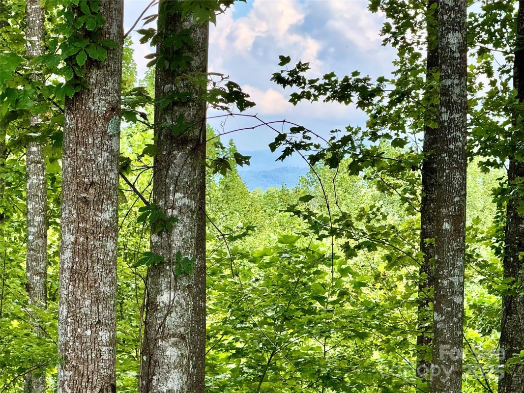 2 01 Acres Lot 971 Soaring Top Lane