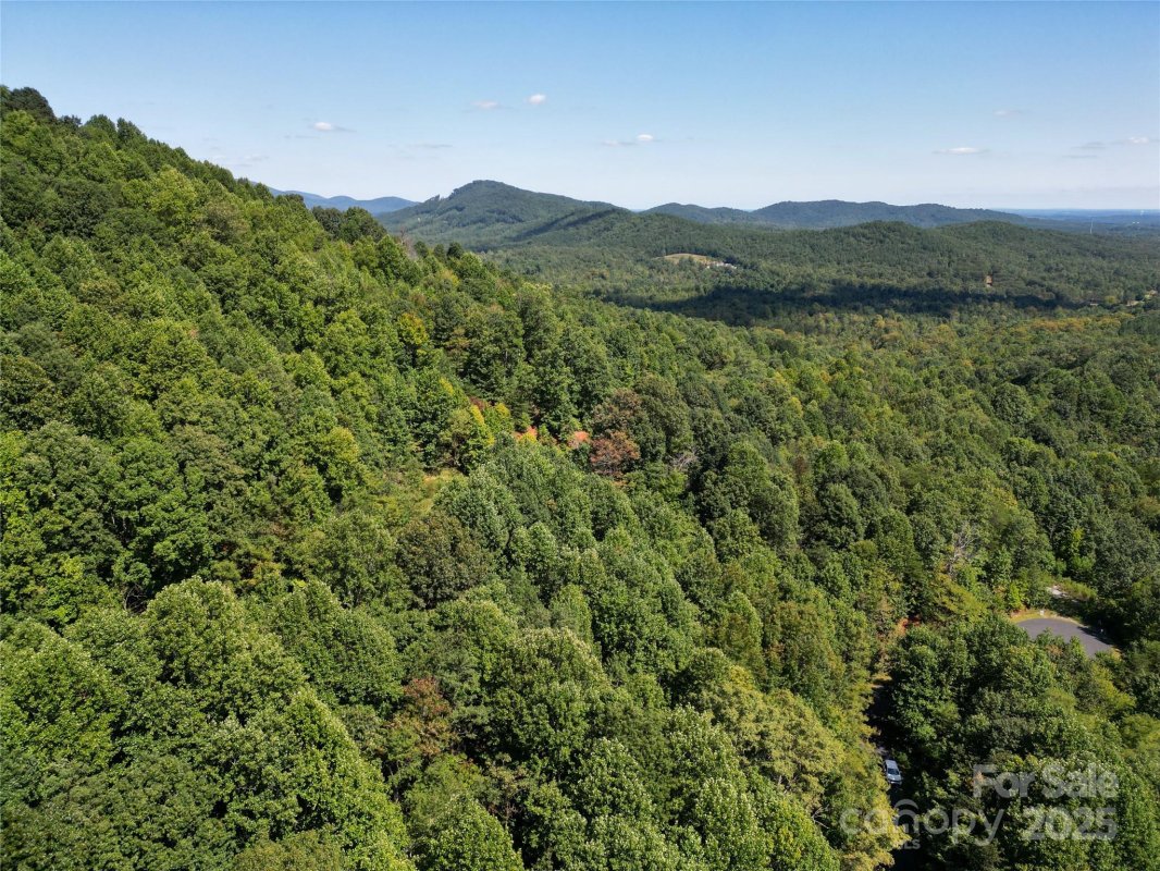 Lot 117 Owls Ridge Drive