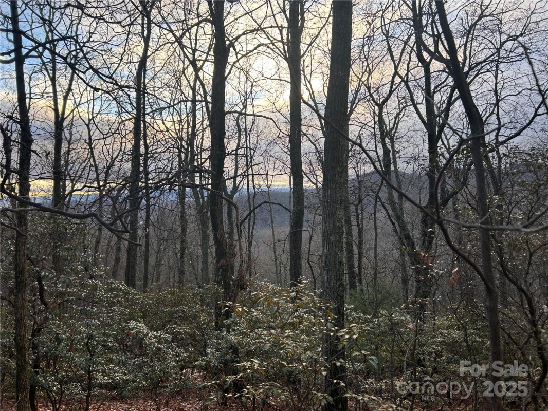 Lot 21 Pine Ridge Road