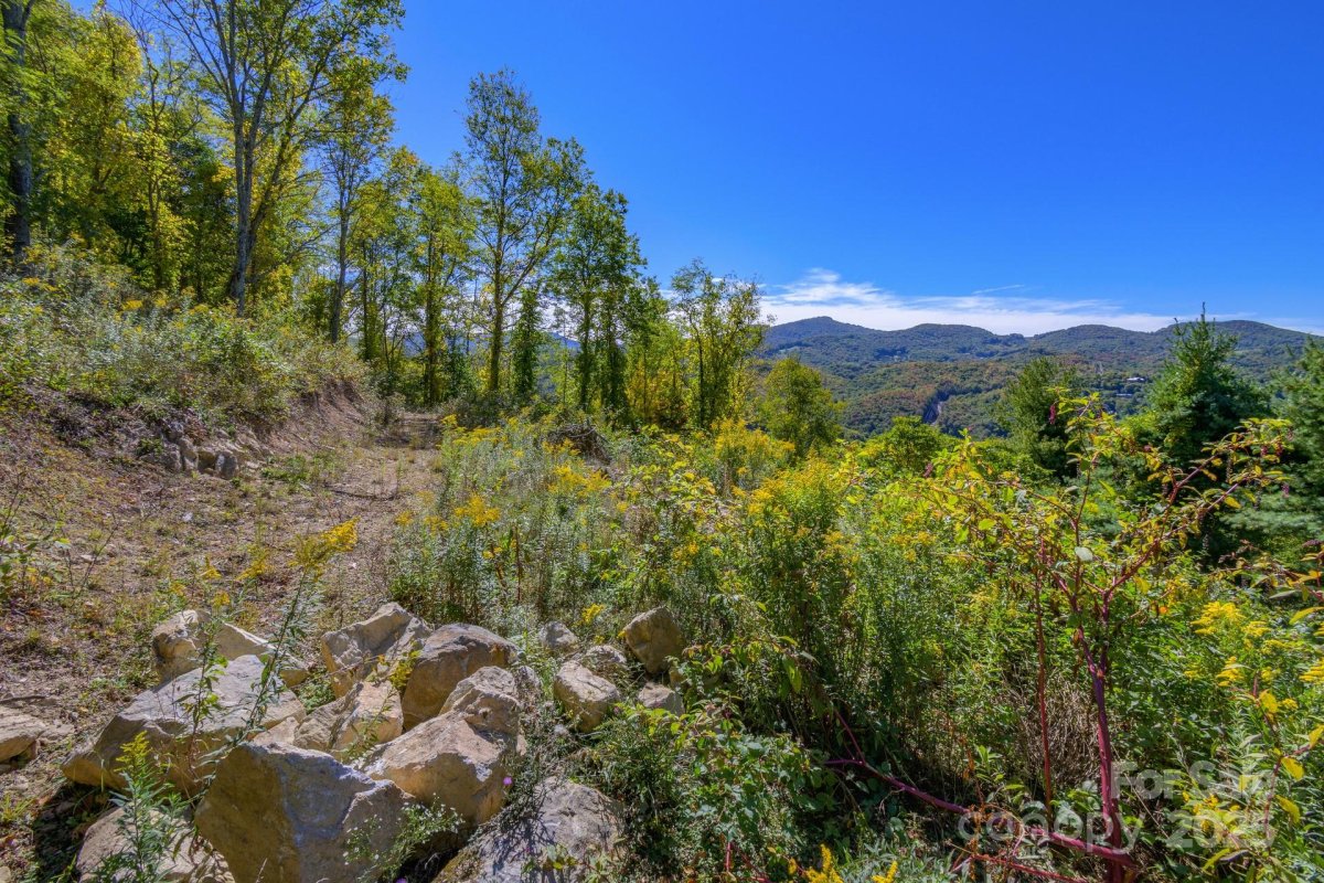 Lot 26 Silver Fox Lane