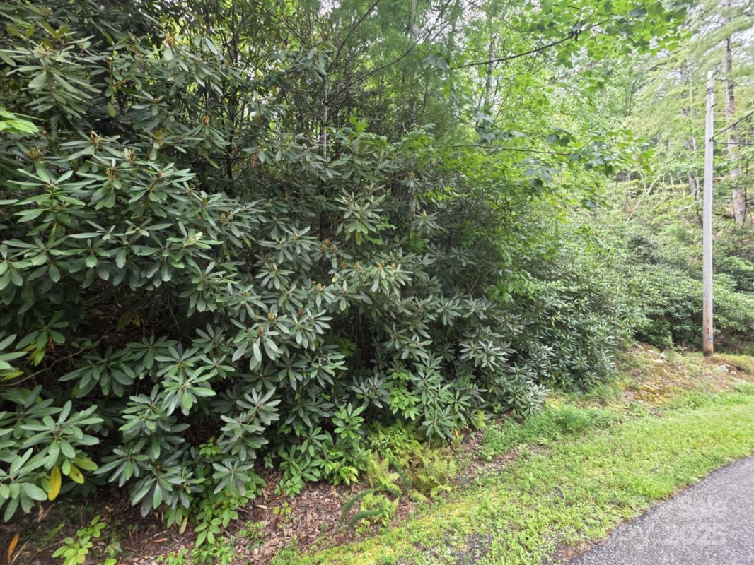 Lot 12 Deer Ridge Trail
