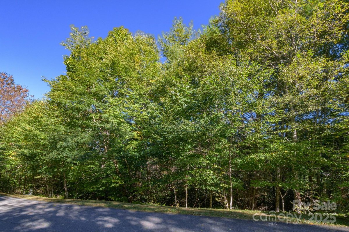 Lot 37 White Fox Lane