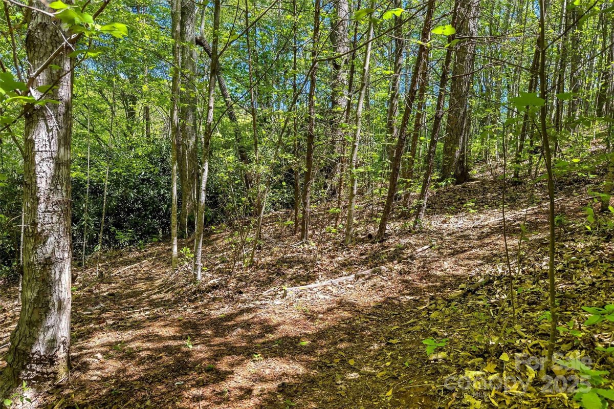 Tbd Hunting Lodge Drive 9