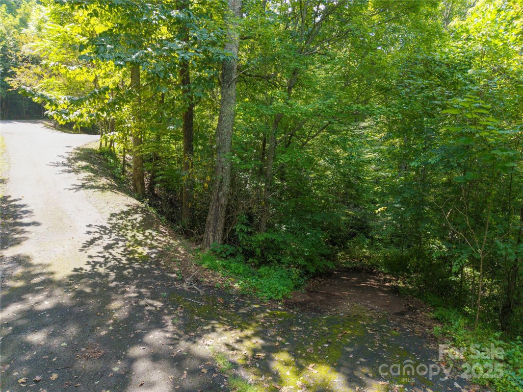 Lot 60 Chesten Mountain Drive