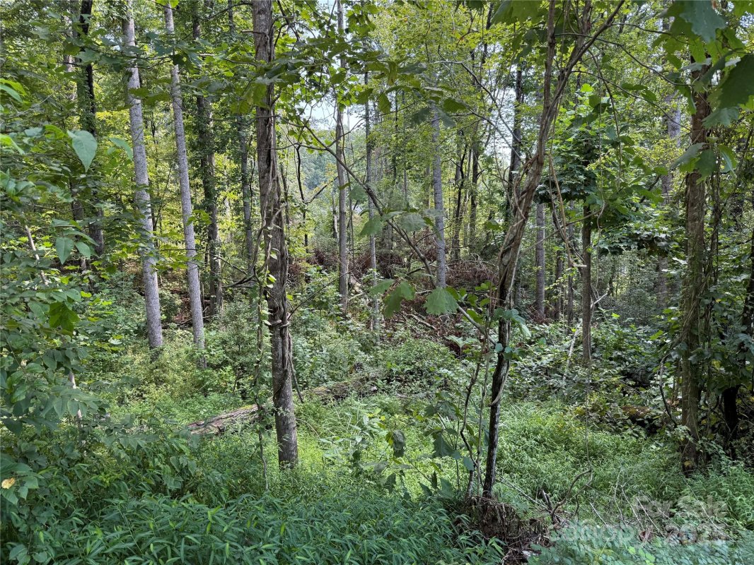 256 Burge Mountain Road