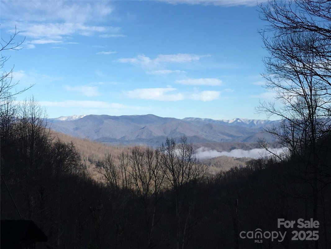 831 Forest Run Road