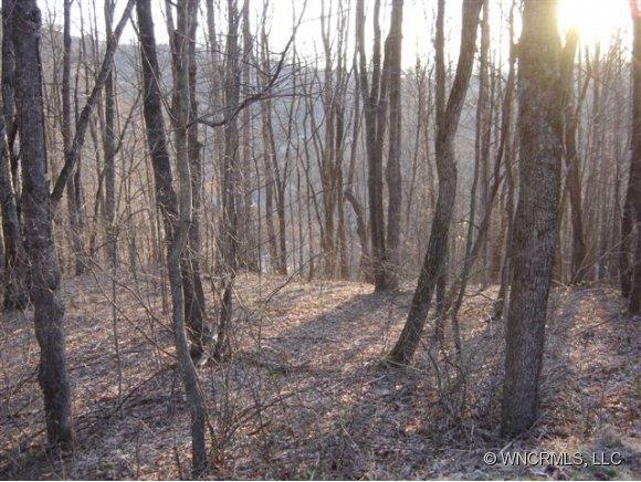 Lot 19 Crystal Tree Drive