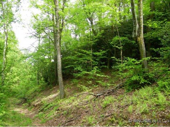 Lot 270 Bison Meadows