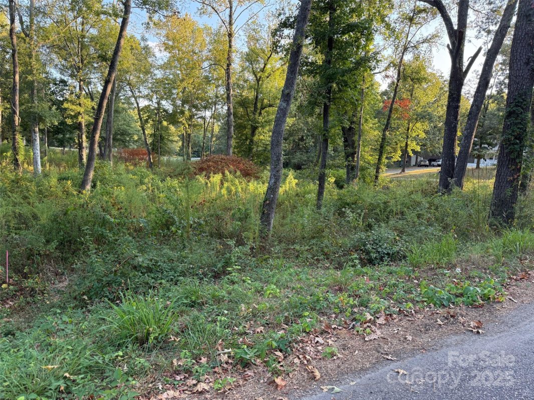 00 Whispering Pines Drive 31