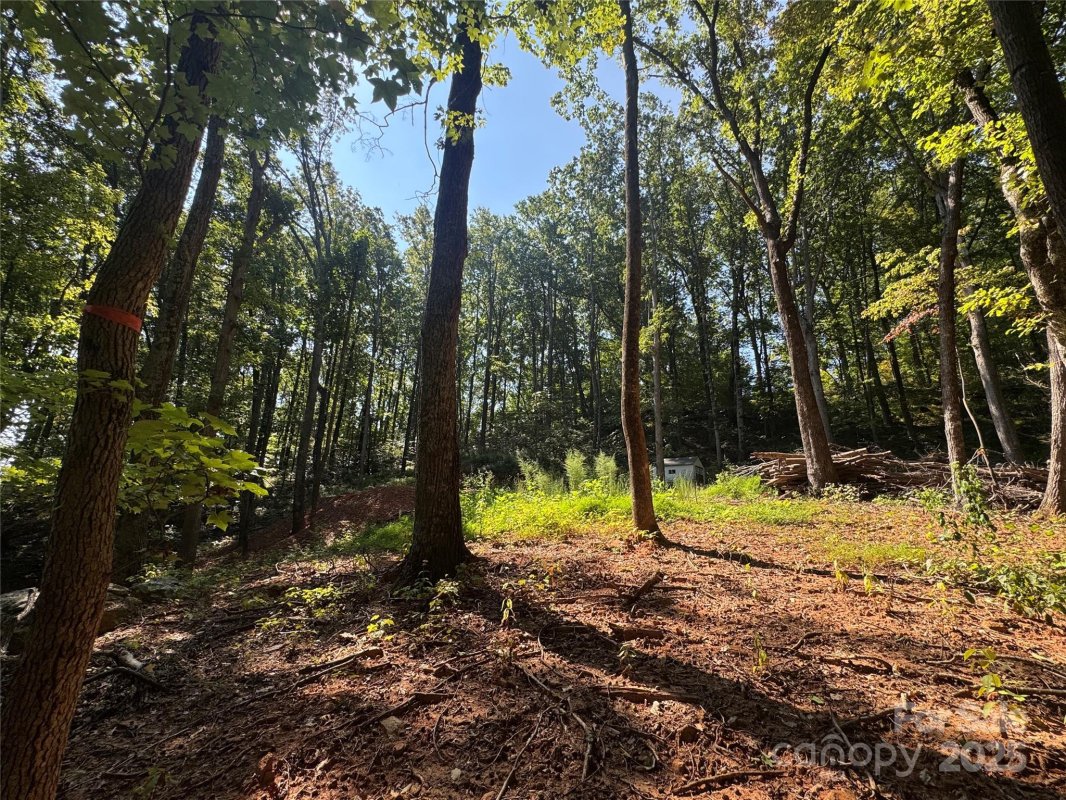 396 White Oak Mountain Road