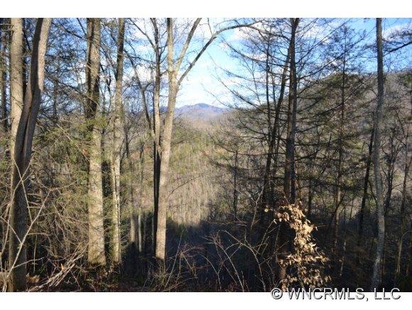 Lot 75 Thorncliff