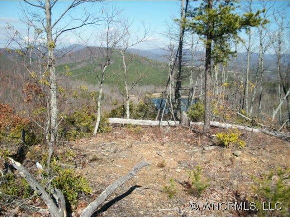 Lot 106 Scouts Trail