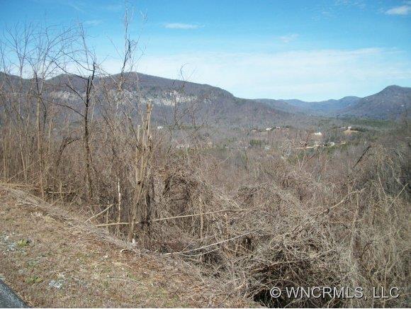Lot 31 Clear Creek Trail