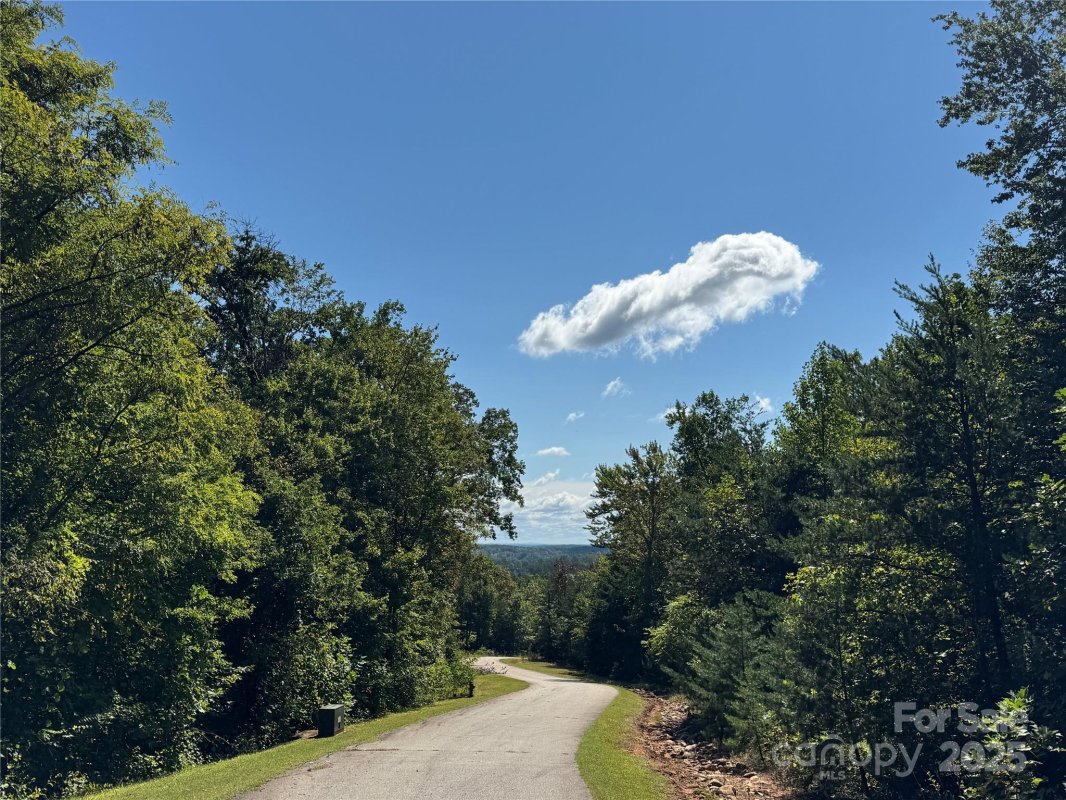0 Bear Cliff Way 60