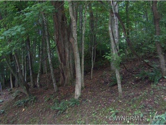 Lot 203 Forest Dr