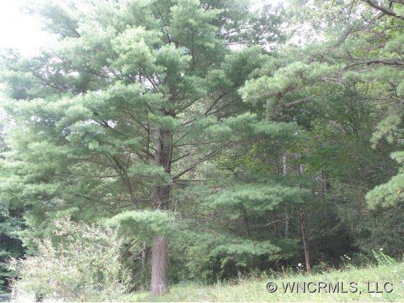Lot Ii Ivy Cove Road II