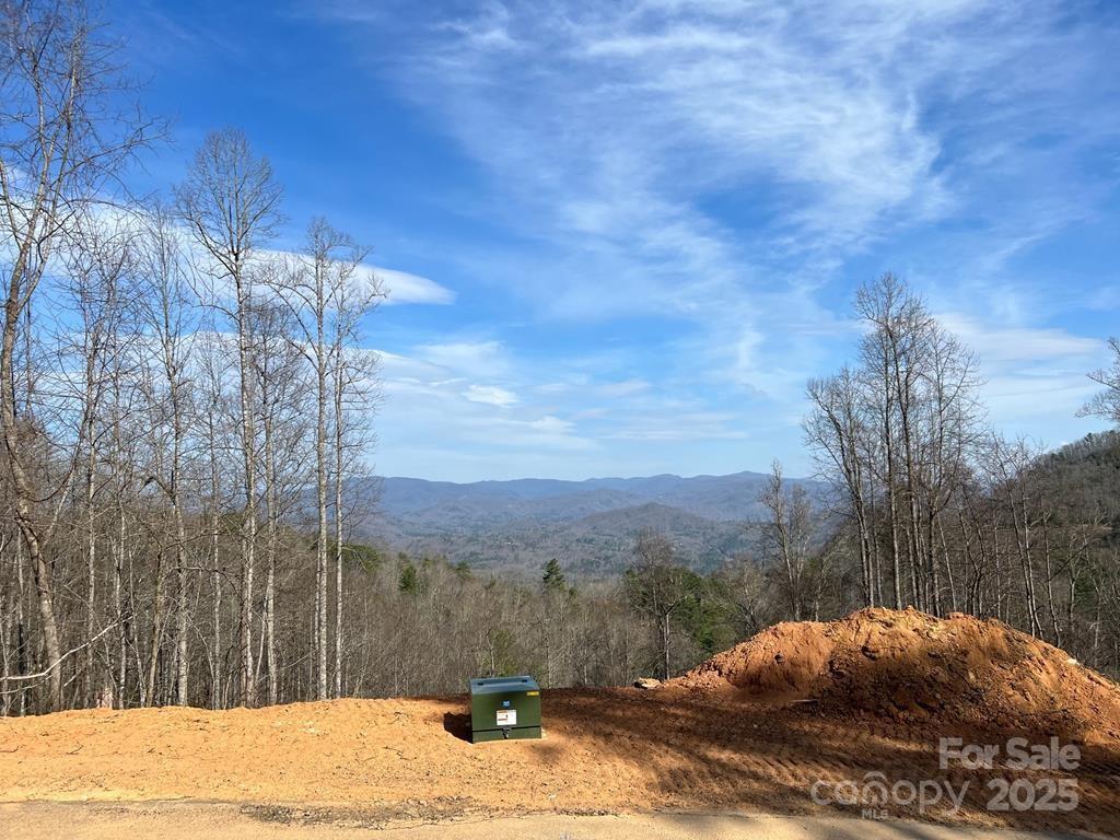 44 Bee Gum Ridge
