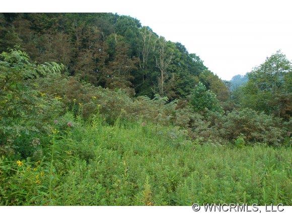 0000 Laurel Valley Road
