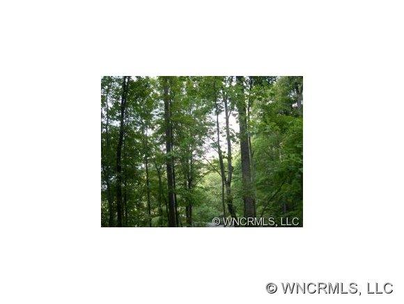 Lot 2 Mountain Mint Drive lot #