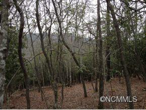 Lot 4r Shining Rock Path