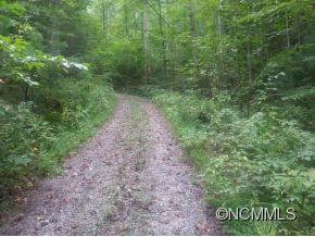 000 Grand Oak Trail