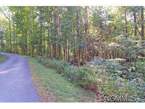 00 Fern Trail