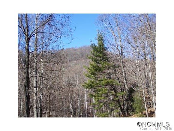 Lot 100 Whispering Woods Path