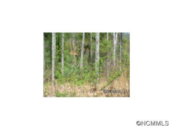 48 Wind Stone Dr Lot 65