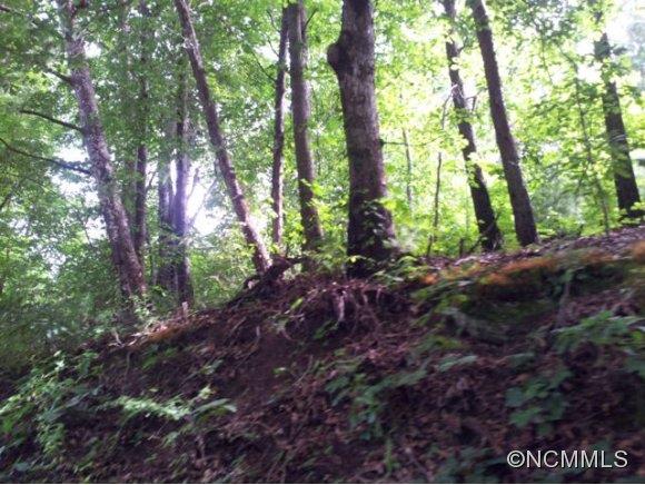 67 Wind Stone Dr Lot 56