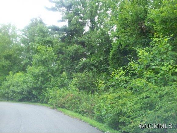 36 Timber Moss Dr Lot 48