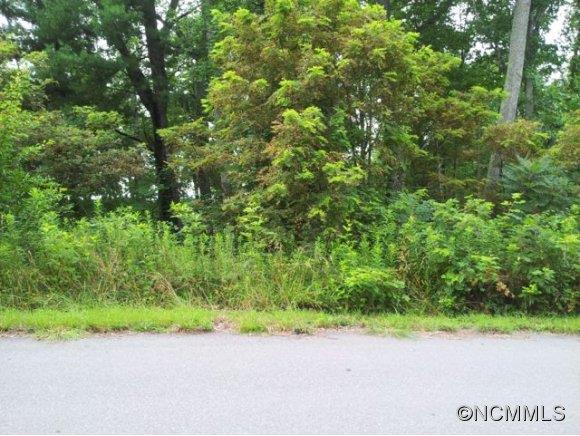55 Timber Moss Dr Lot 42