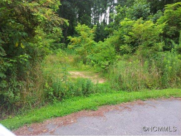 57 Timber Moss Dr Lot 43