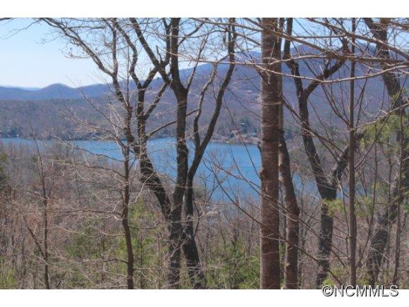 000 Hawks Nest Trail 17