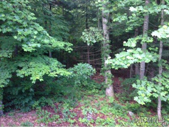 Lot 18 Kanuga Ridge