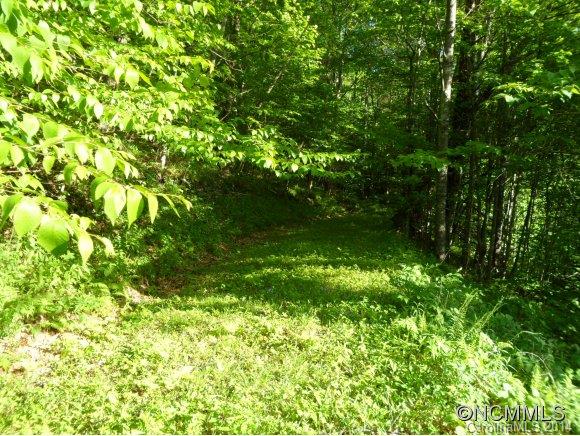 0 Pless Underwood Rd 33 Section C
