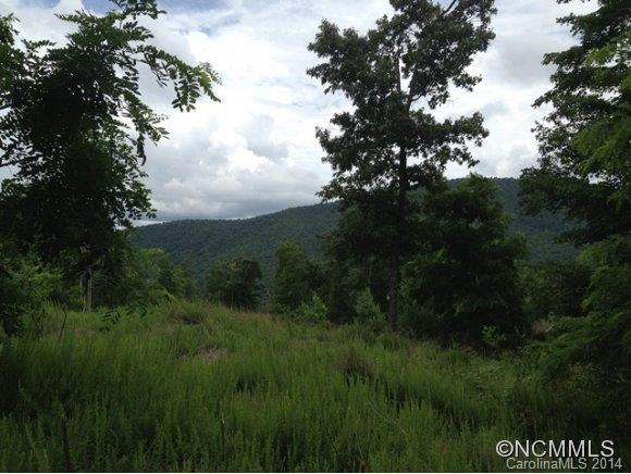 Lot 157 Homestead At Mills River