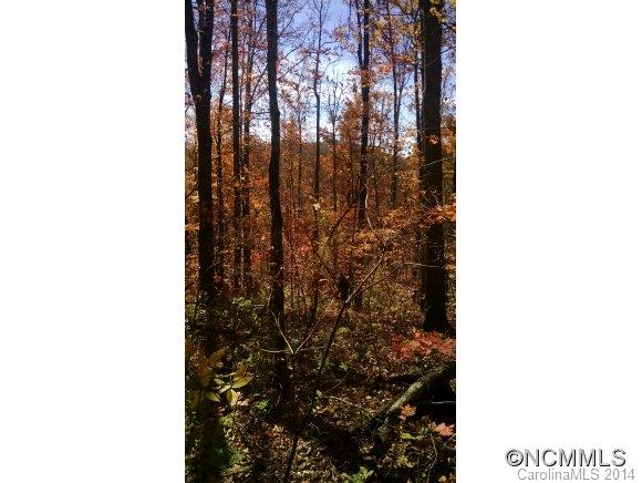 31 Fern Trail