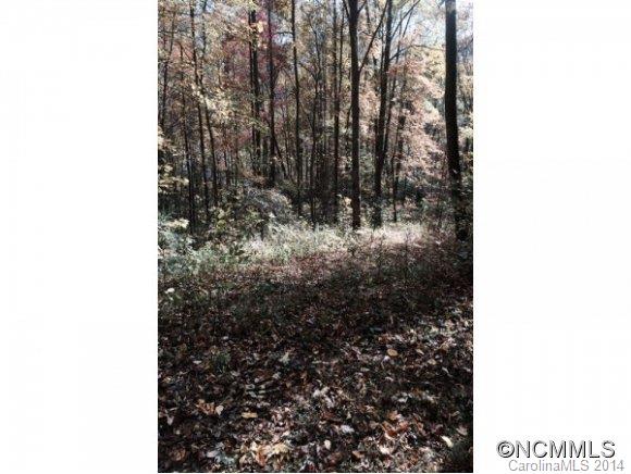 Lot 1 Fern Trail