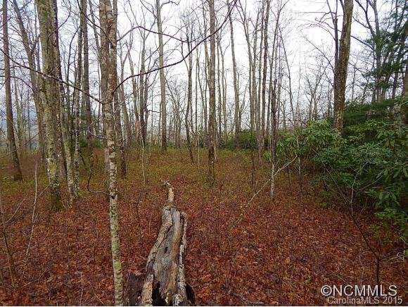 Lo62 Panther Cove