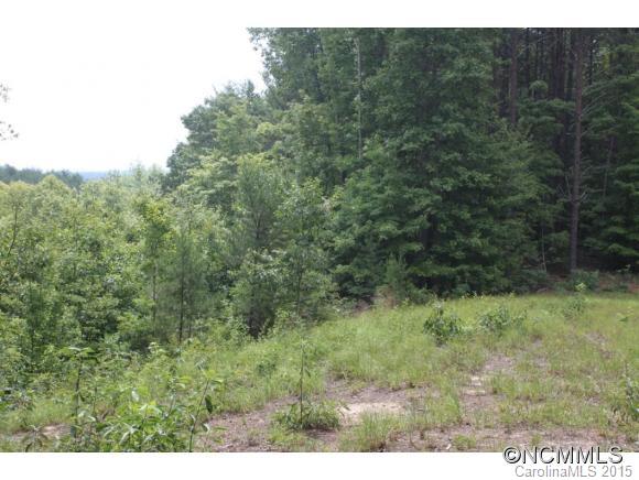 1642 Pisgah Preserve Dr
