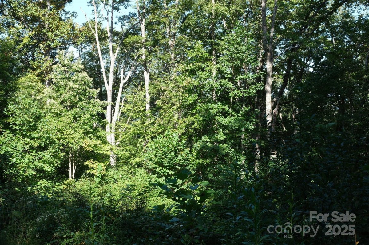 Lot 12 Caperton Point Road