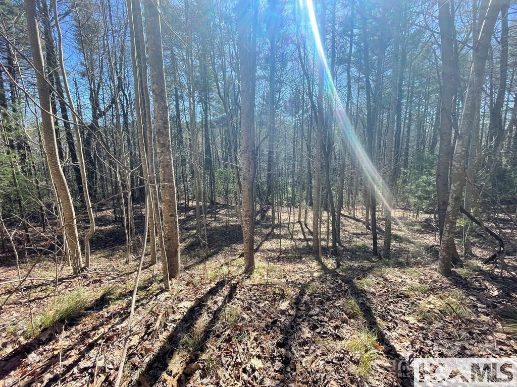 1 Bear Log Road