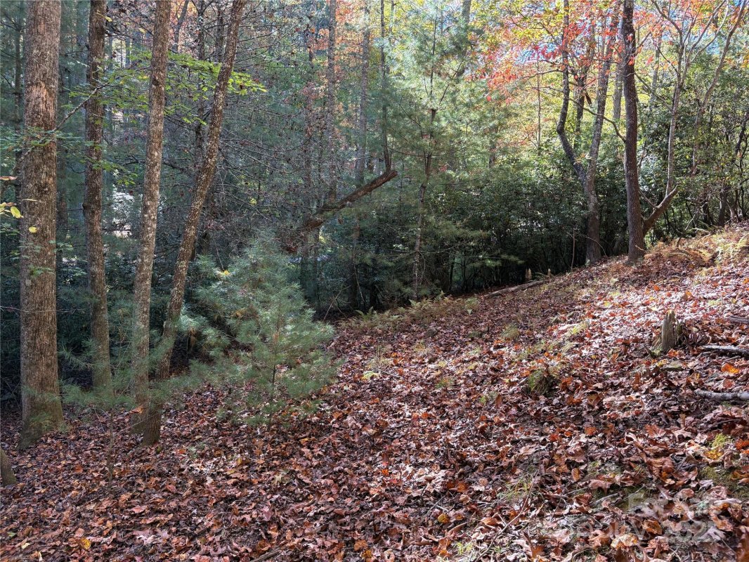00 Caddis Lane 94